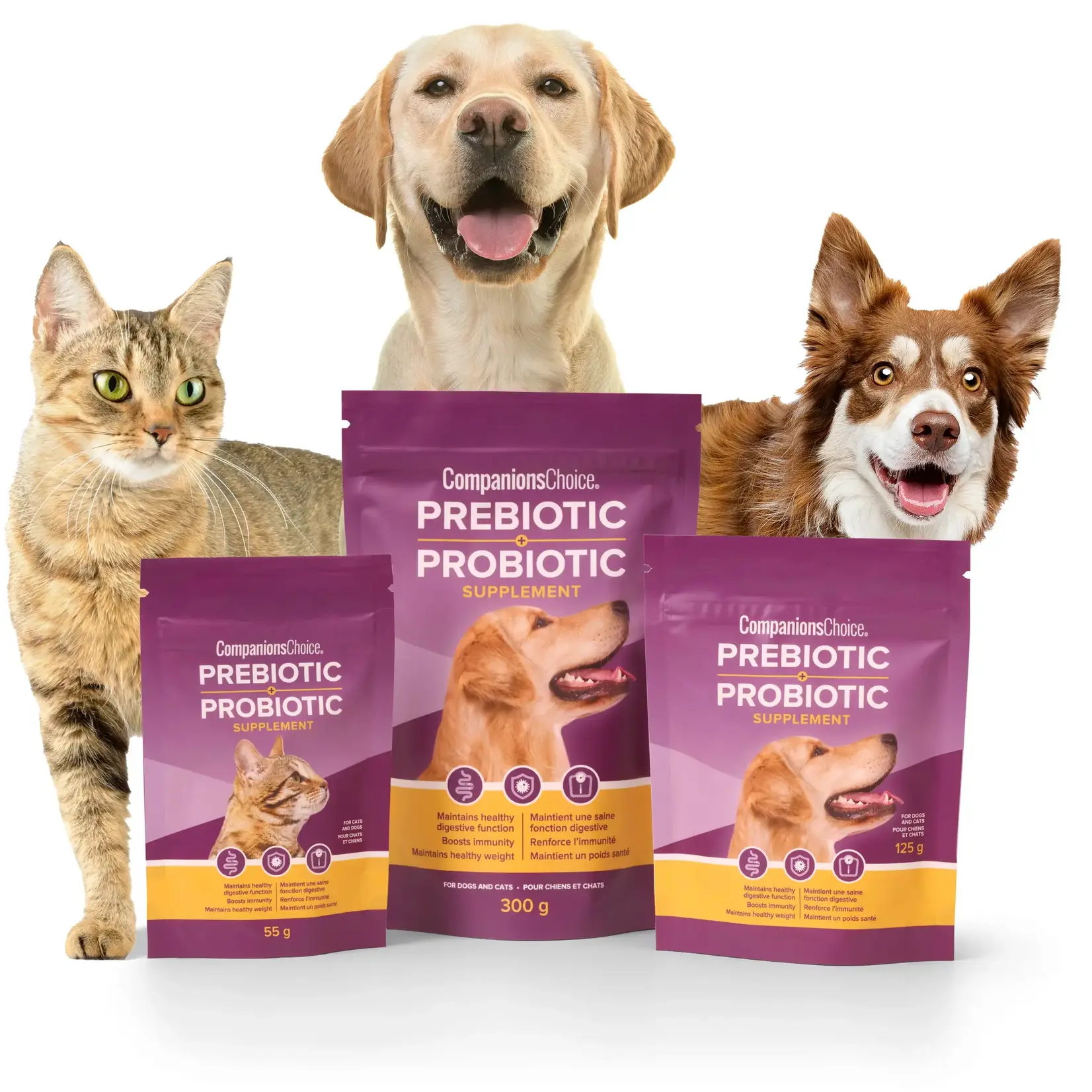 Companions Choice Prebiotic & Probiotic Supplement
