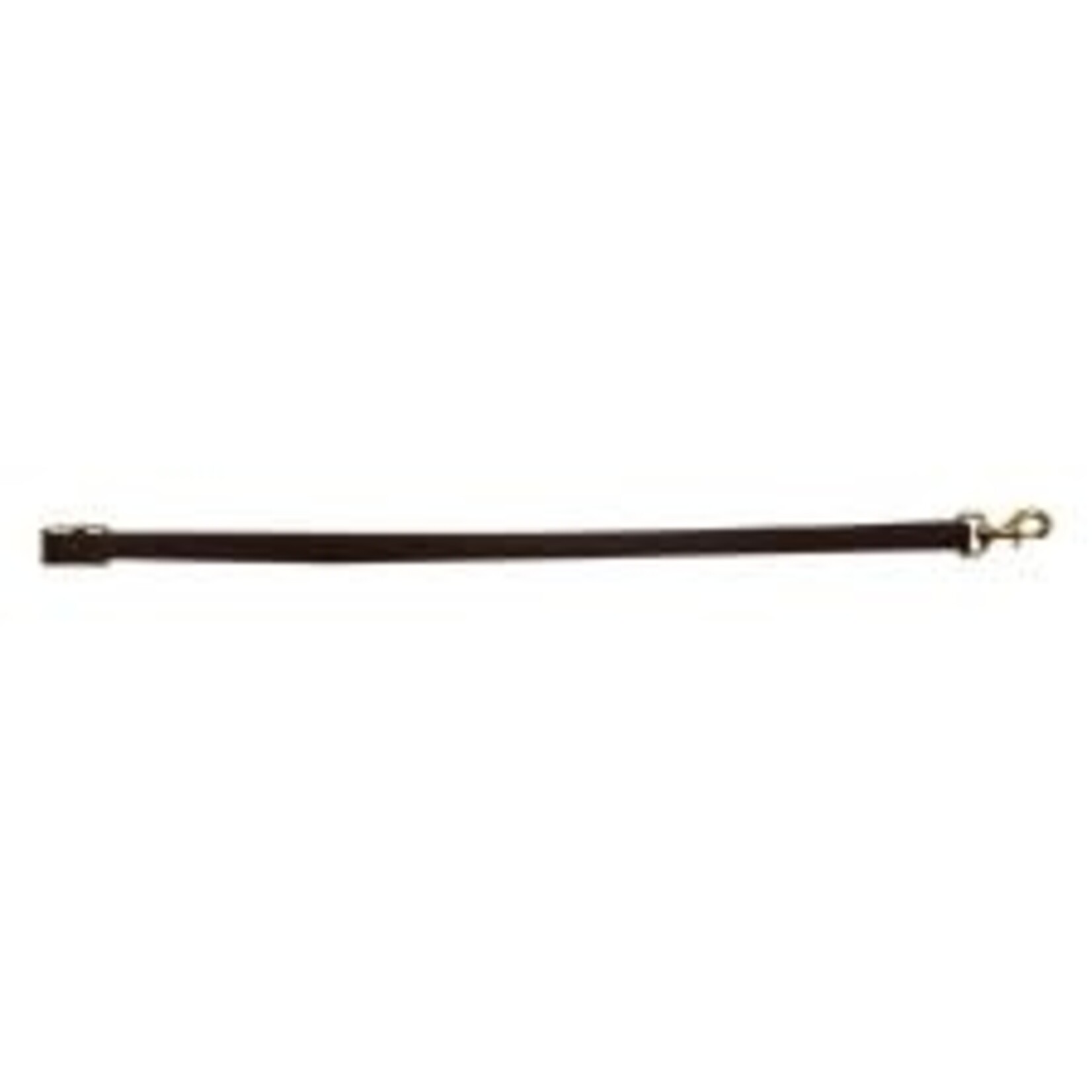 Western Rawhide Harness Leather Tie Down 1"