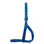 Hamilton Calf Halter