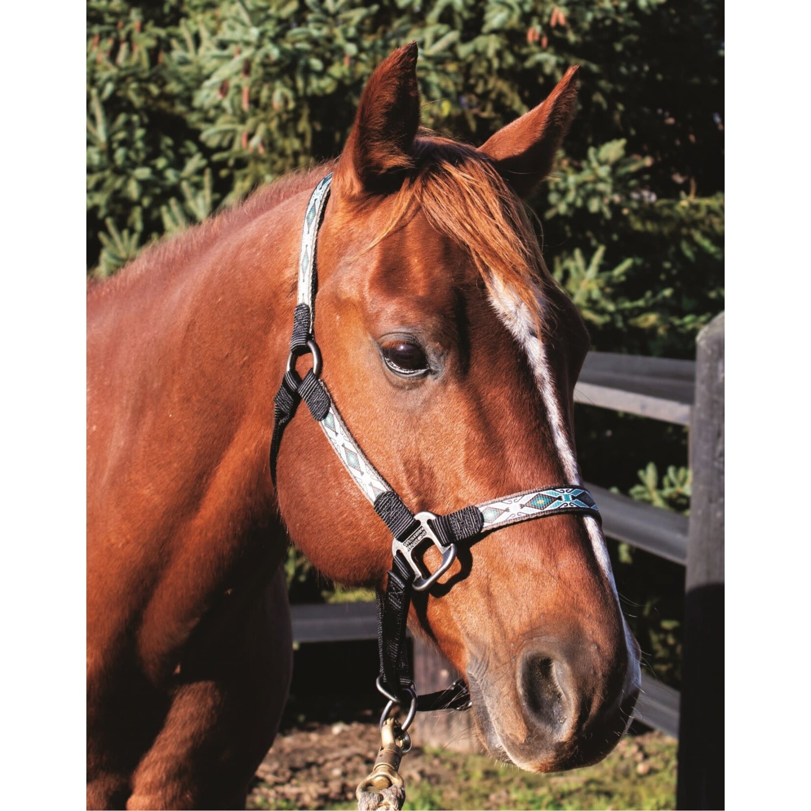 Western Rawhide Signature Pattern Halter w/ Antique Silver Hardwar & Snap - Black/Blue Rhombus, Horse Size