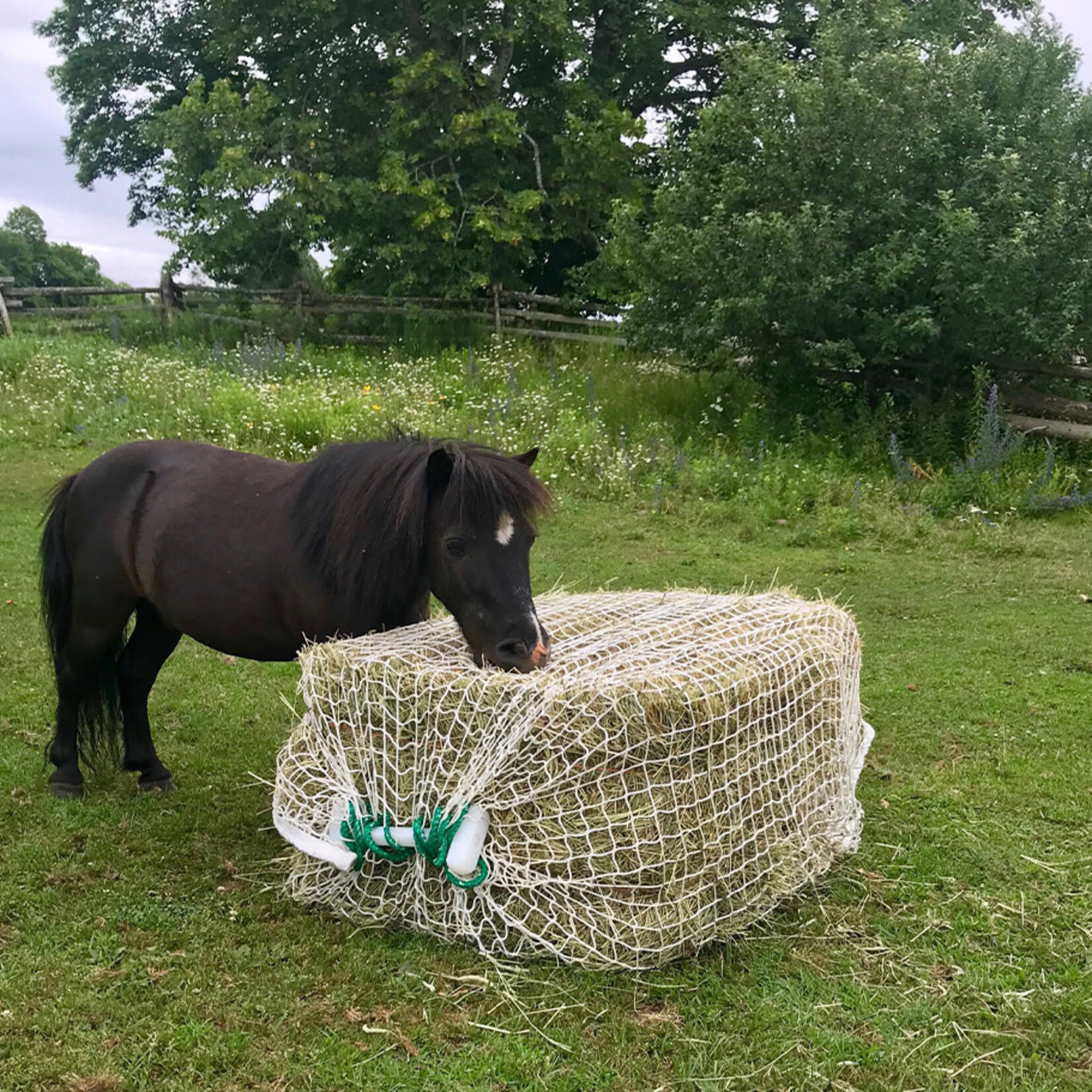 Bale Buddy Slow Bale Buddy
