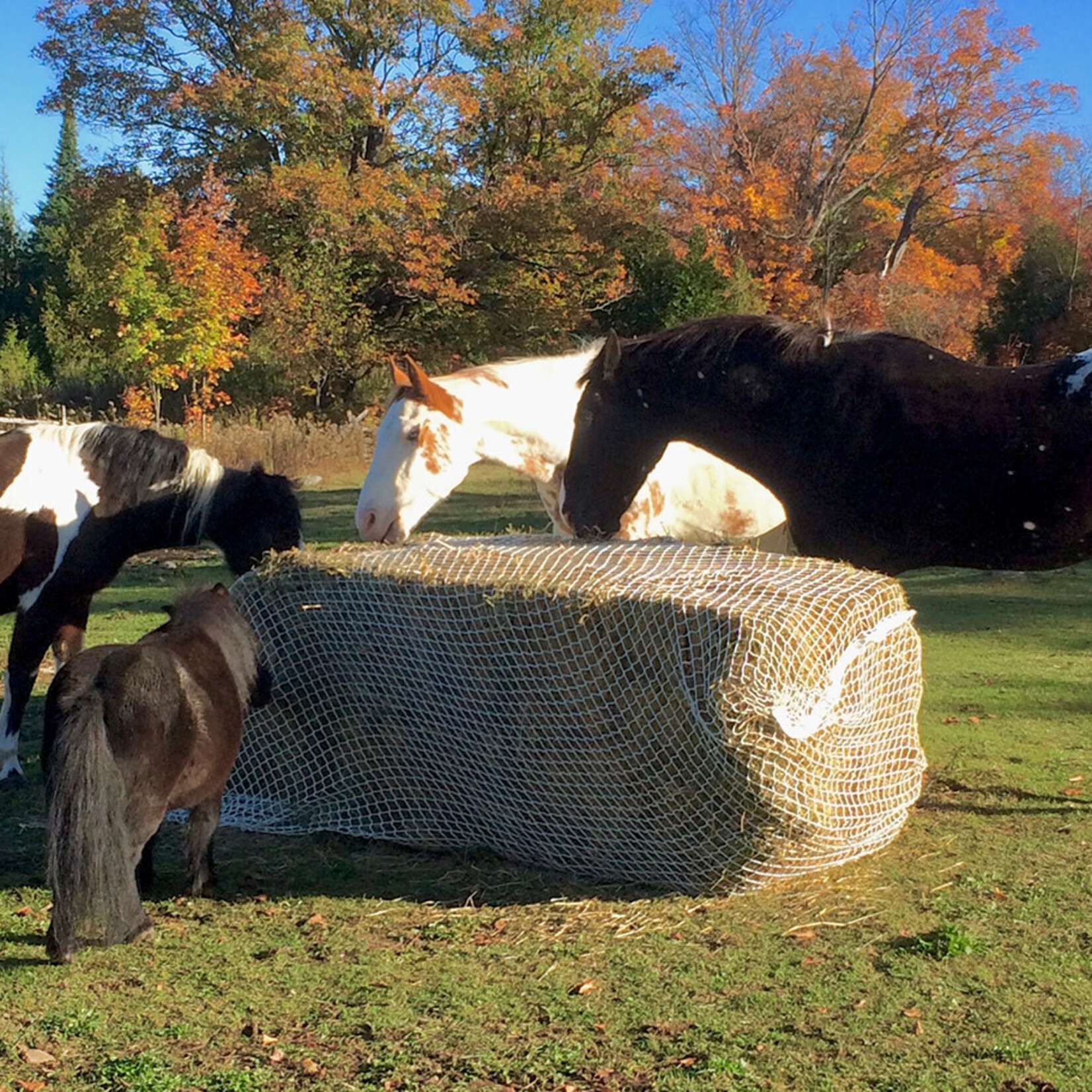 Bale Buddy Slow Bale Buddy