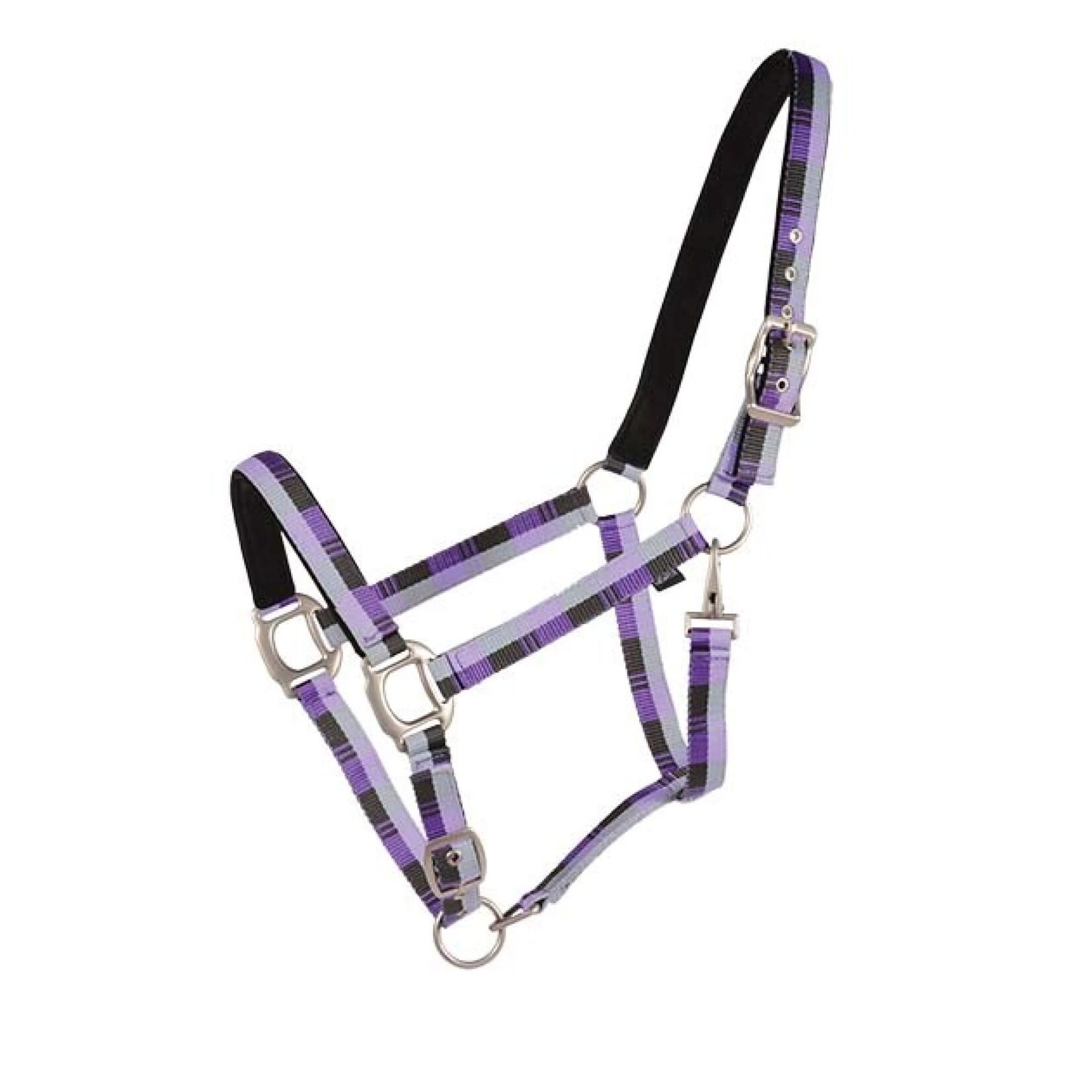 Country Legends Nubuck Padded Halter