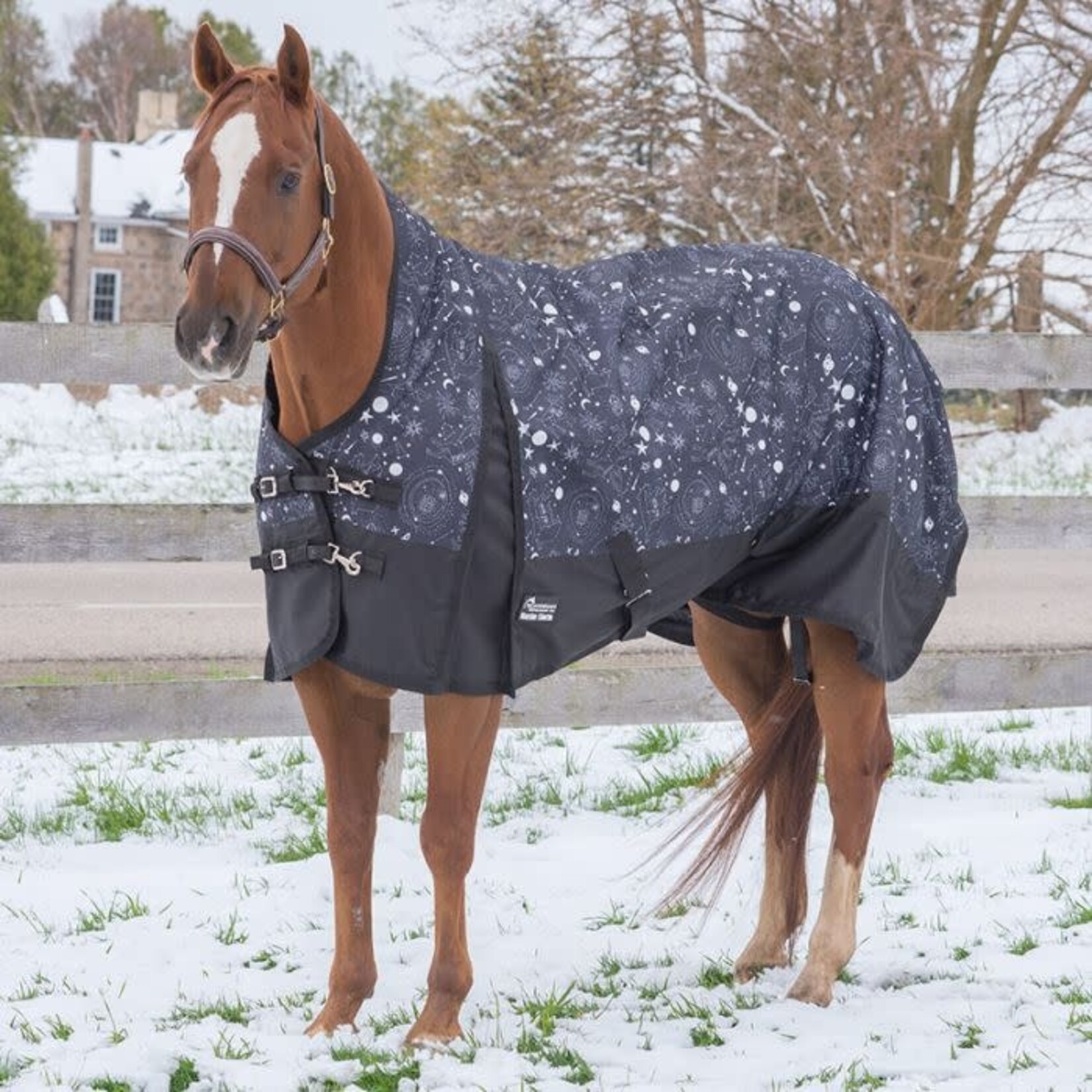Canadian Horsewear Maxim Rainsheet