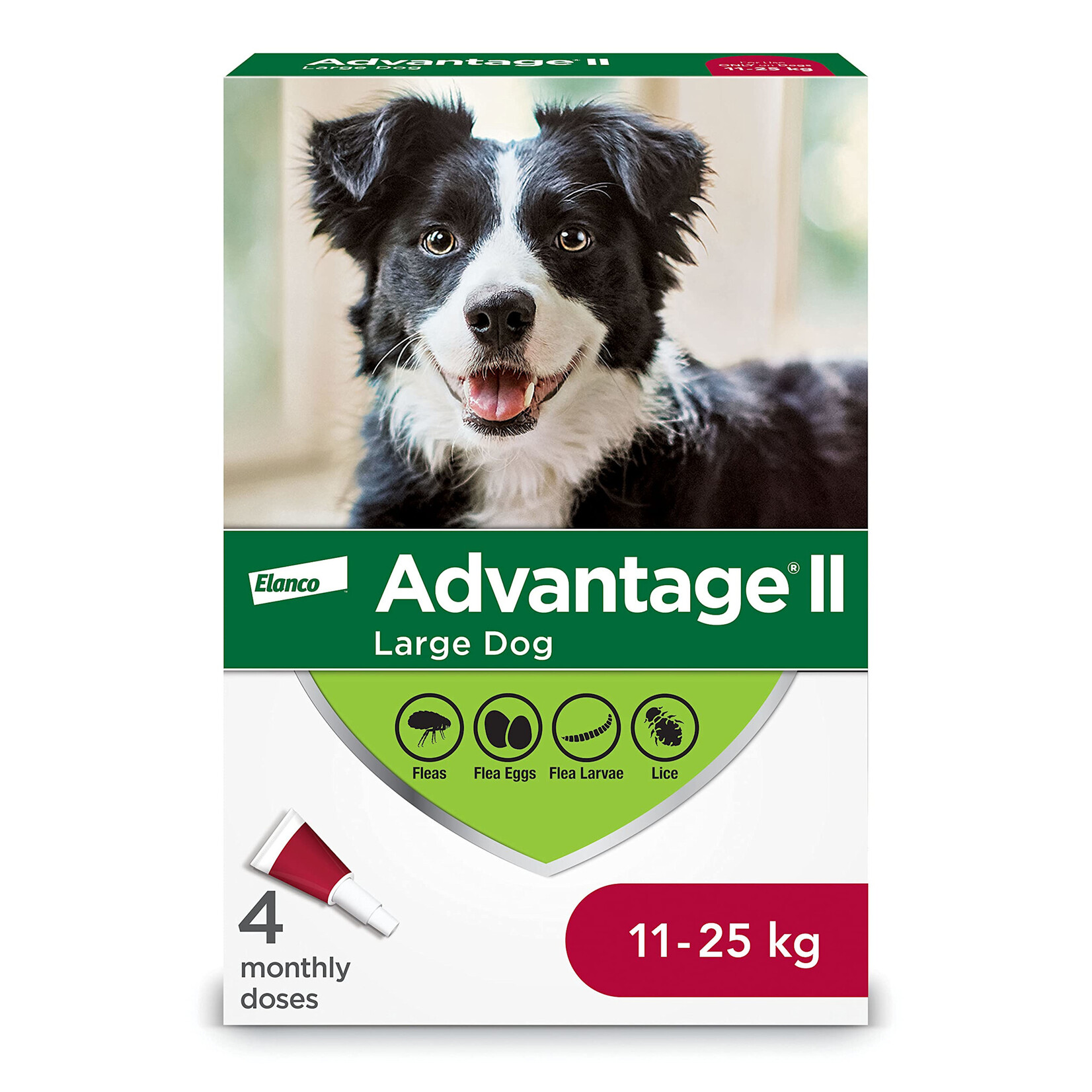 Elanco Advantage II - Dog