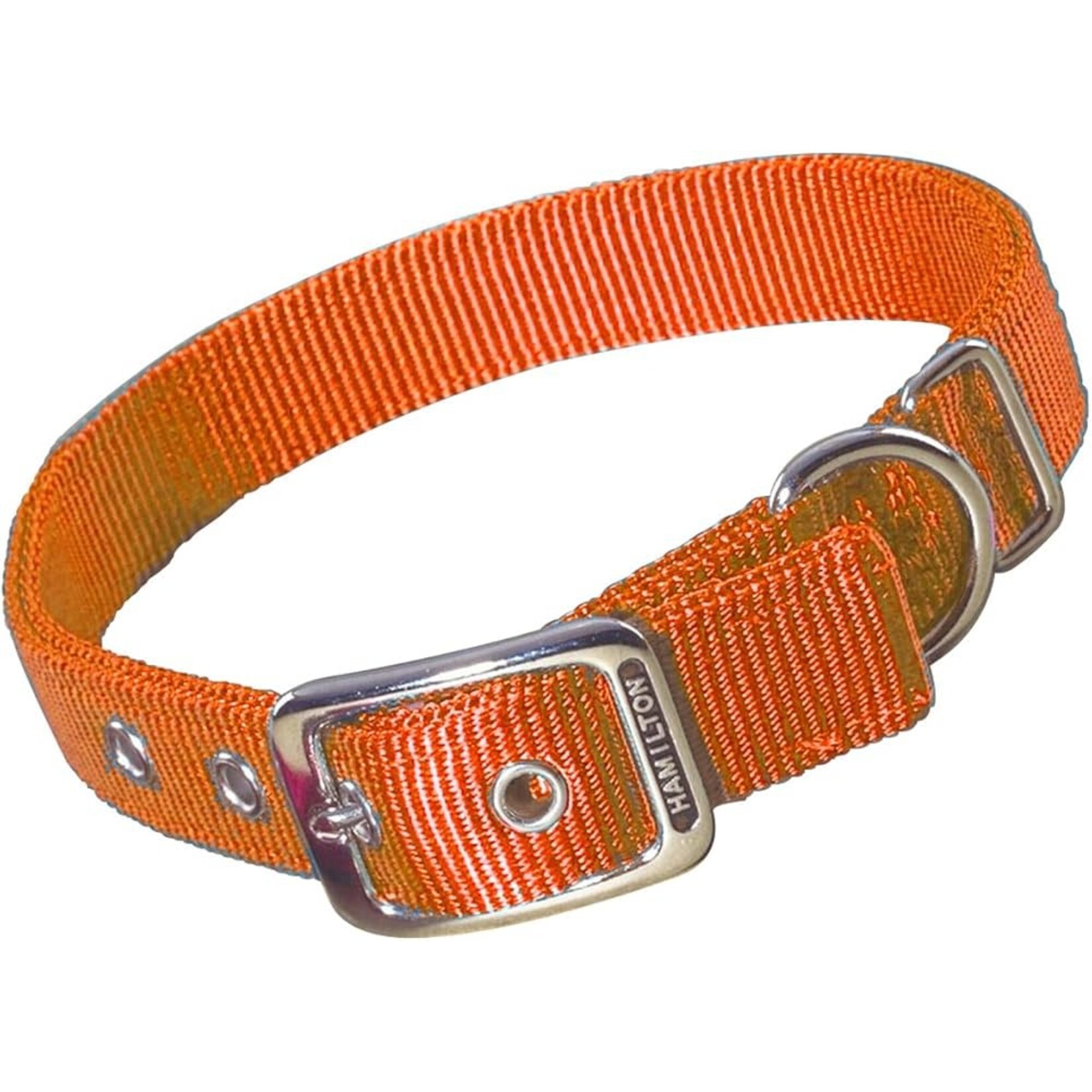 Hamilton Double Thick Nylon Dog Collars