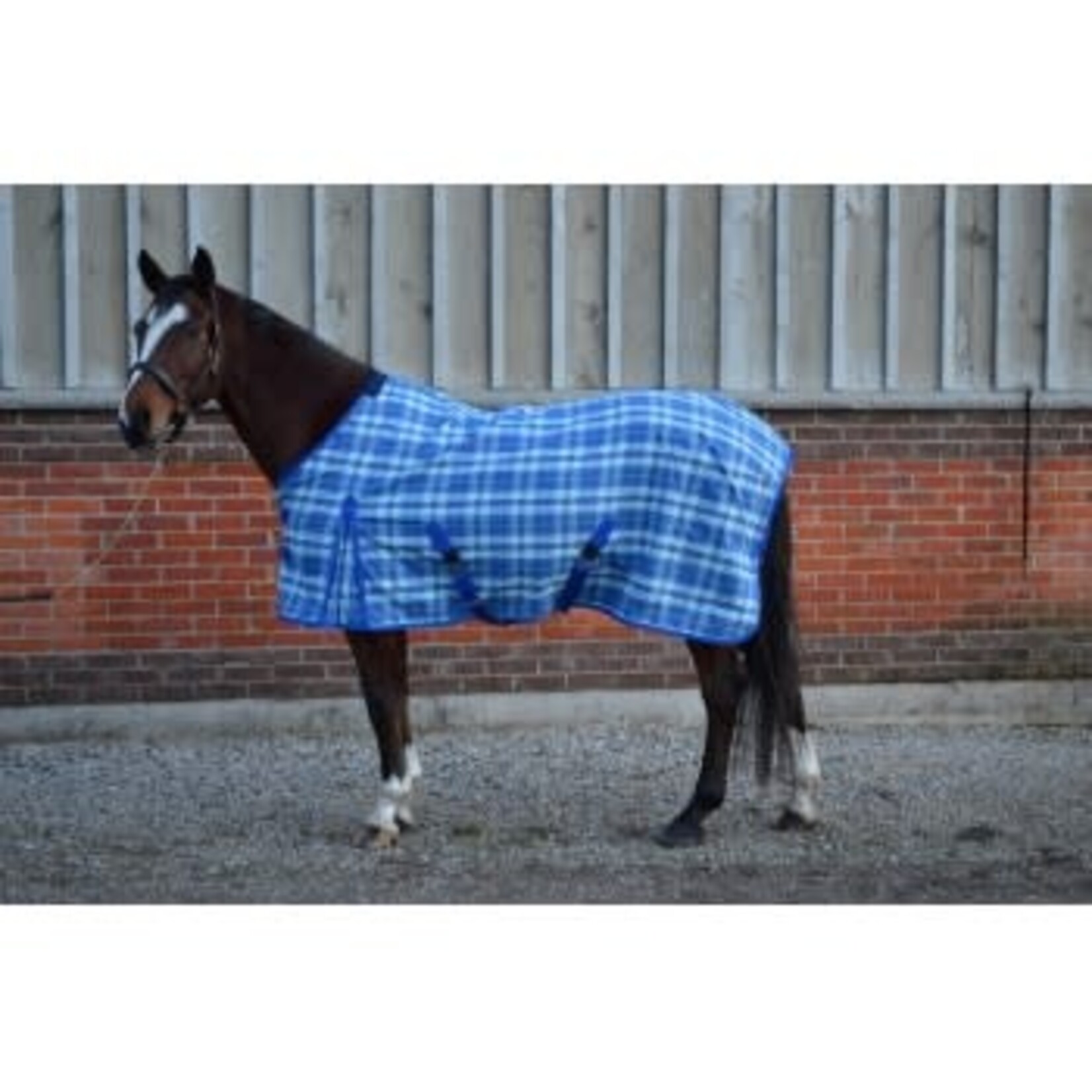 Century Fairfield Summer Sheet