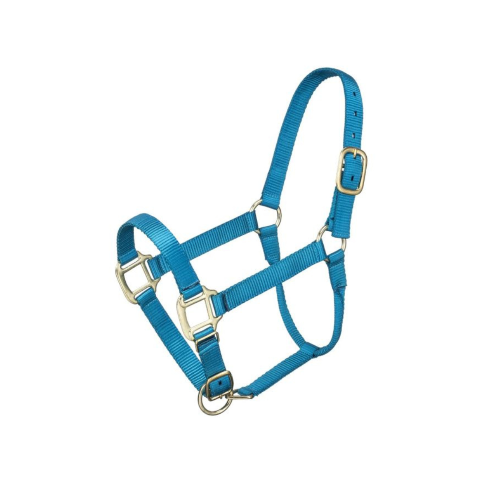 Tough 1 Premium Nylon Halter - Horse - Turquoise