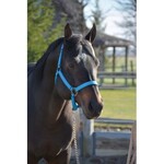 Western Rawhide Signature Fashion Halter With Black Nickel Finish Hardware