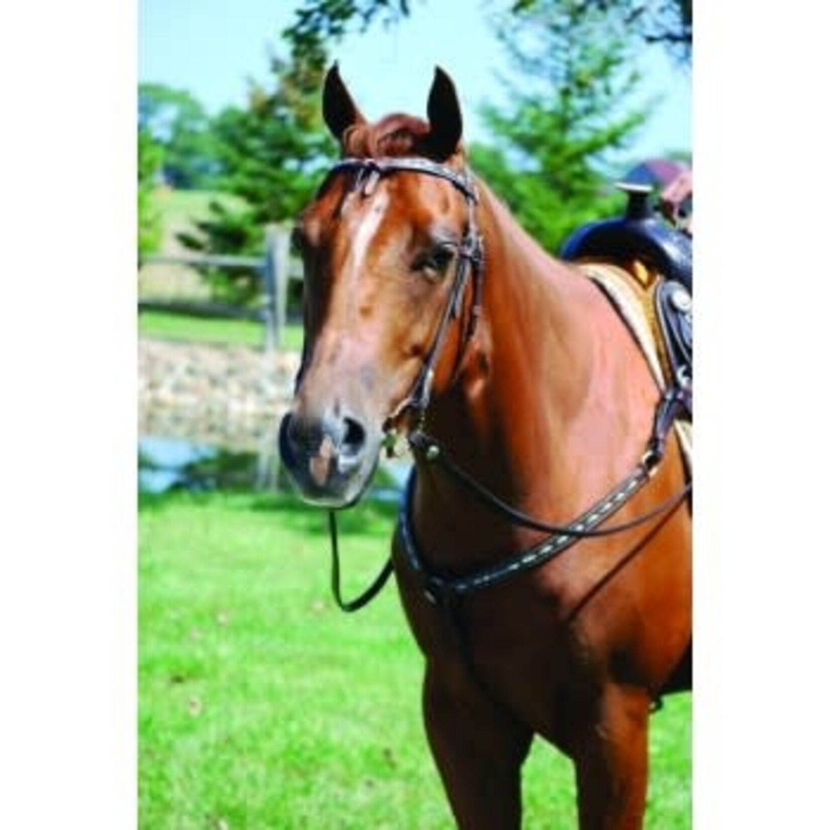 Sierra Cross Over Headstall - Dark Brown with Turquoise Inlay