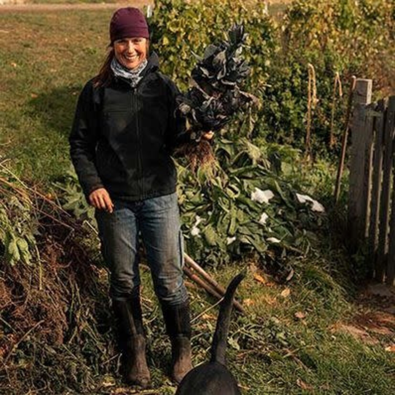 Mustang Women's Chore Classic Tall