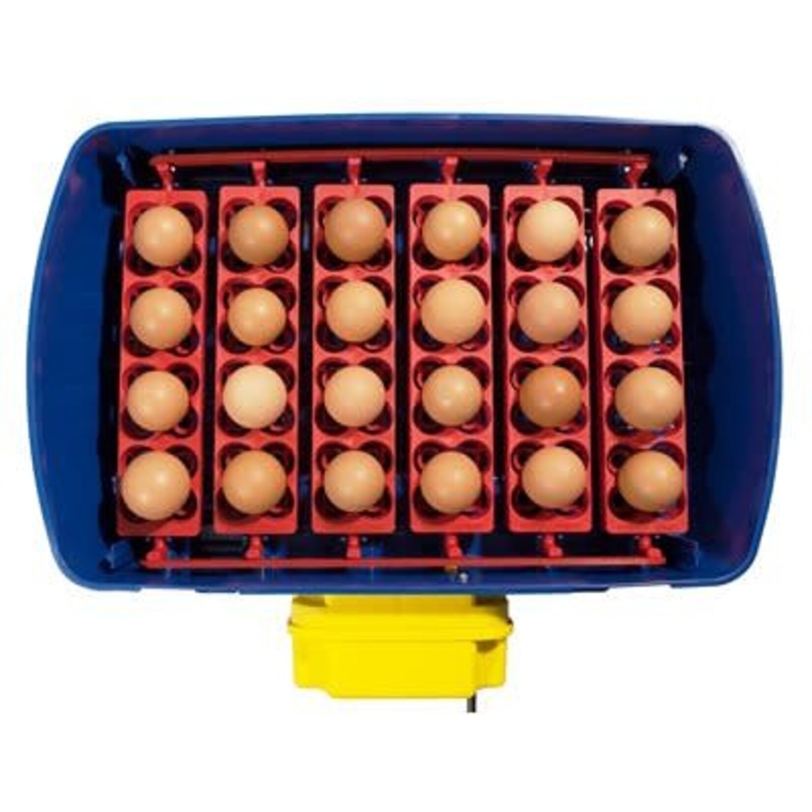 Borotto Incubator Real 24 & Humidity Pump