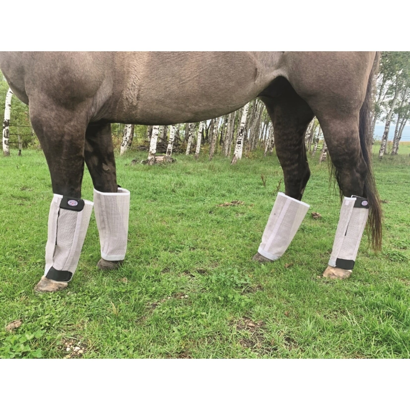 Country Legends Fly Free Boots