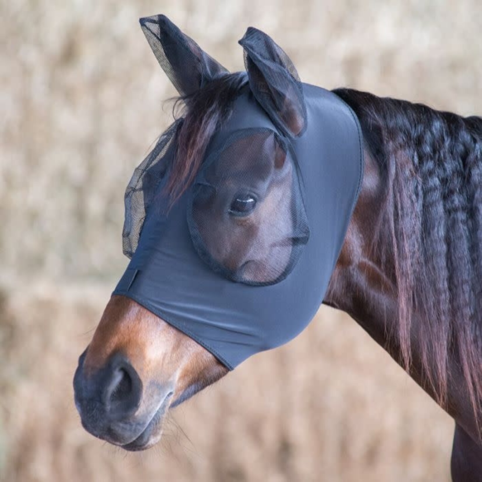 Ger-Ryan Lycra Fly Mask