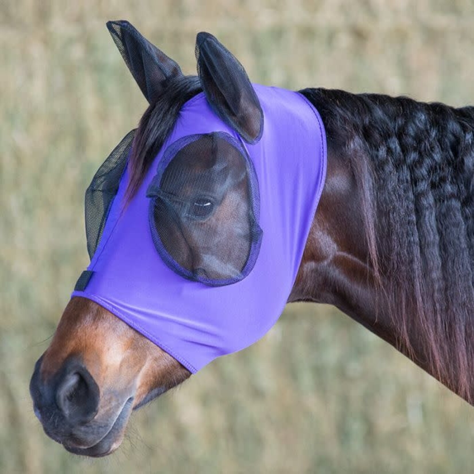 Ger-Ryan Lycra Fly Mask