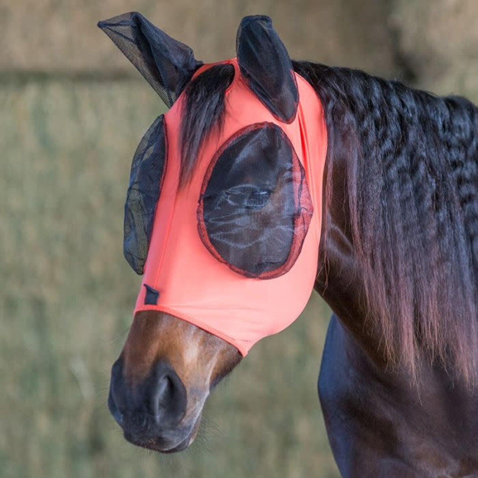 Ger-Ryan Lycra Fly Mask