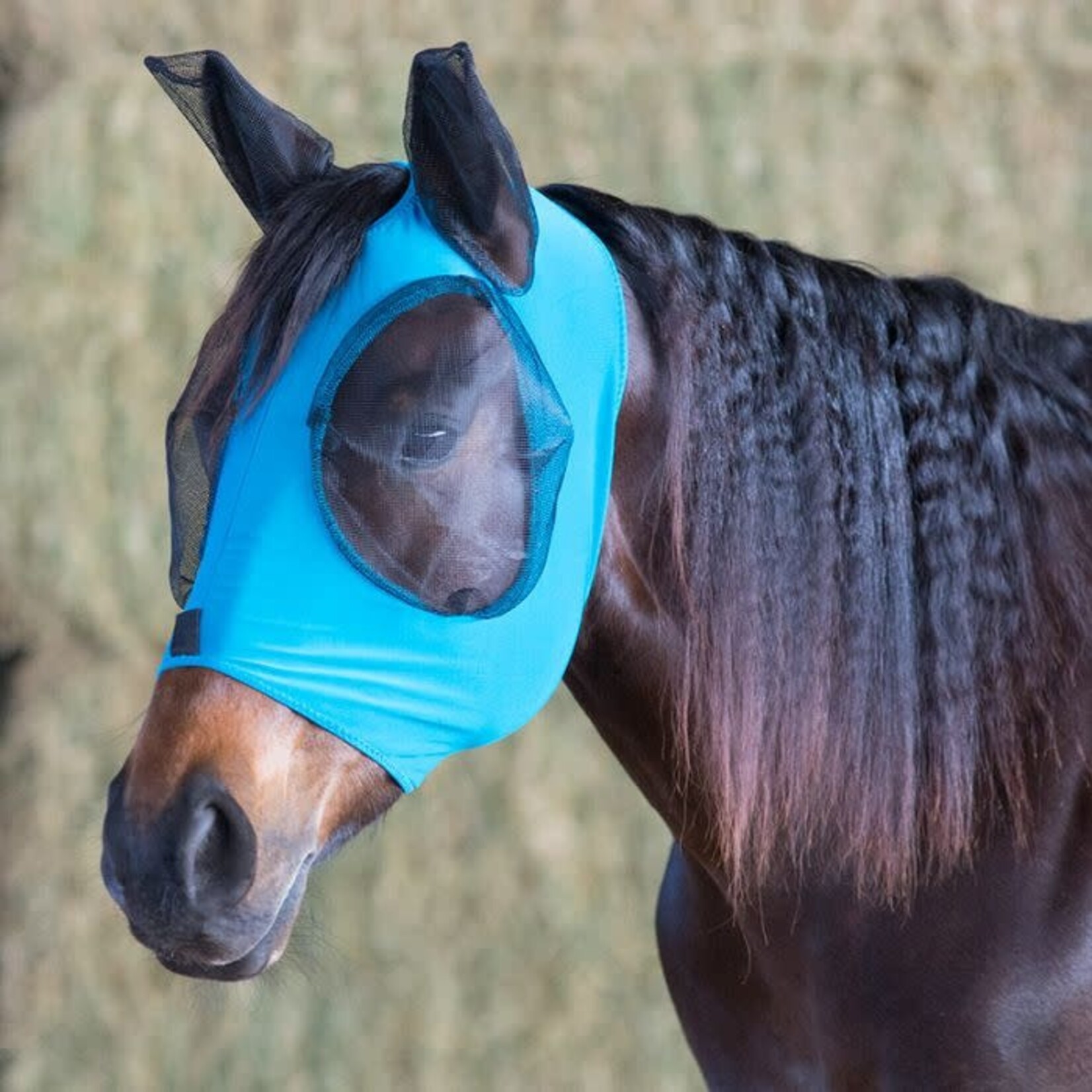 Ger-Ryan Lycra Fly Mask