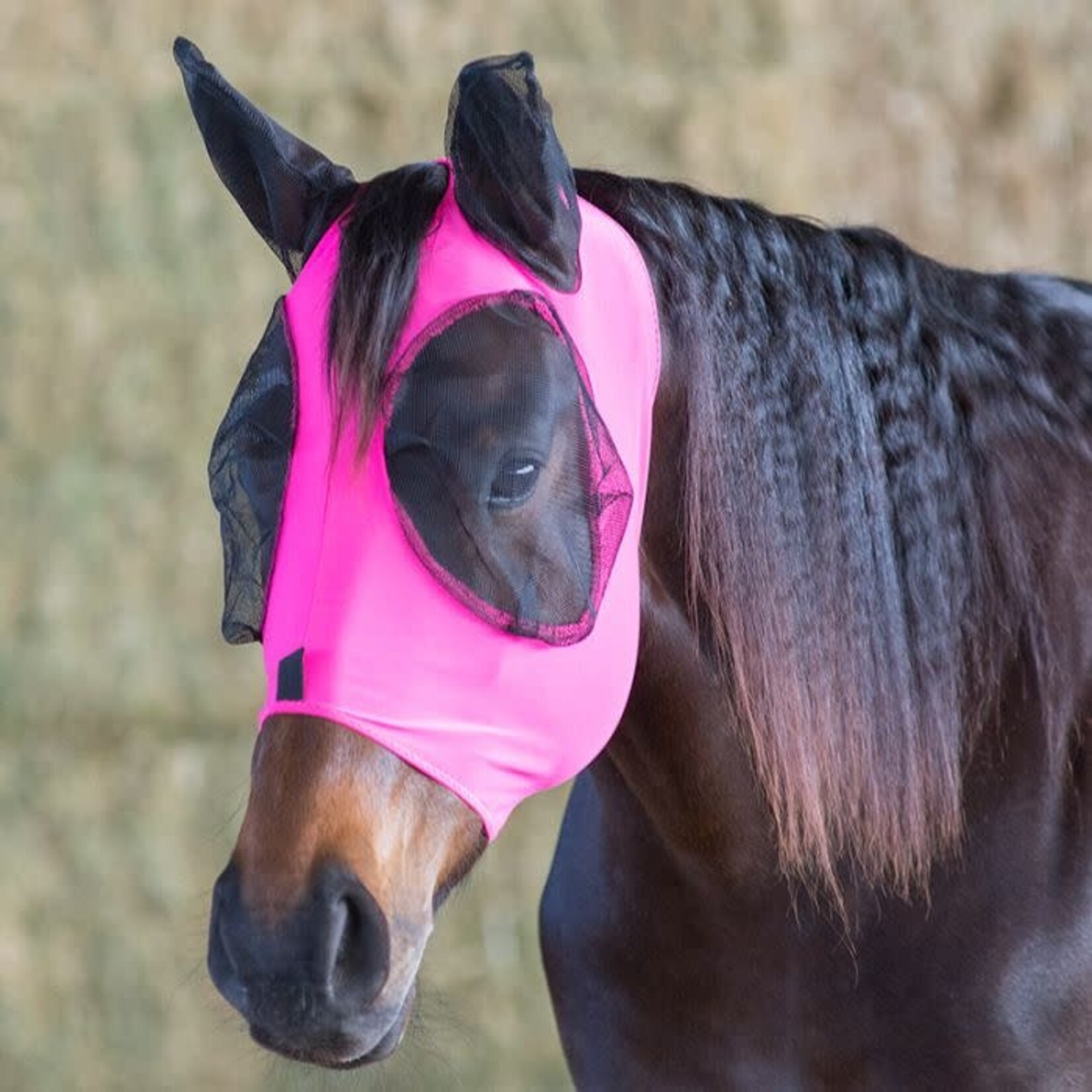 Ger-Ryan Lycra Fly Mask