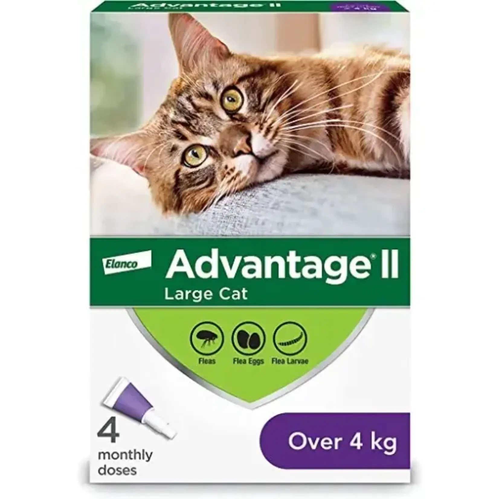 Elanco Advantage II - Cat