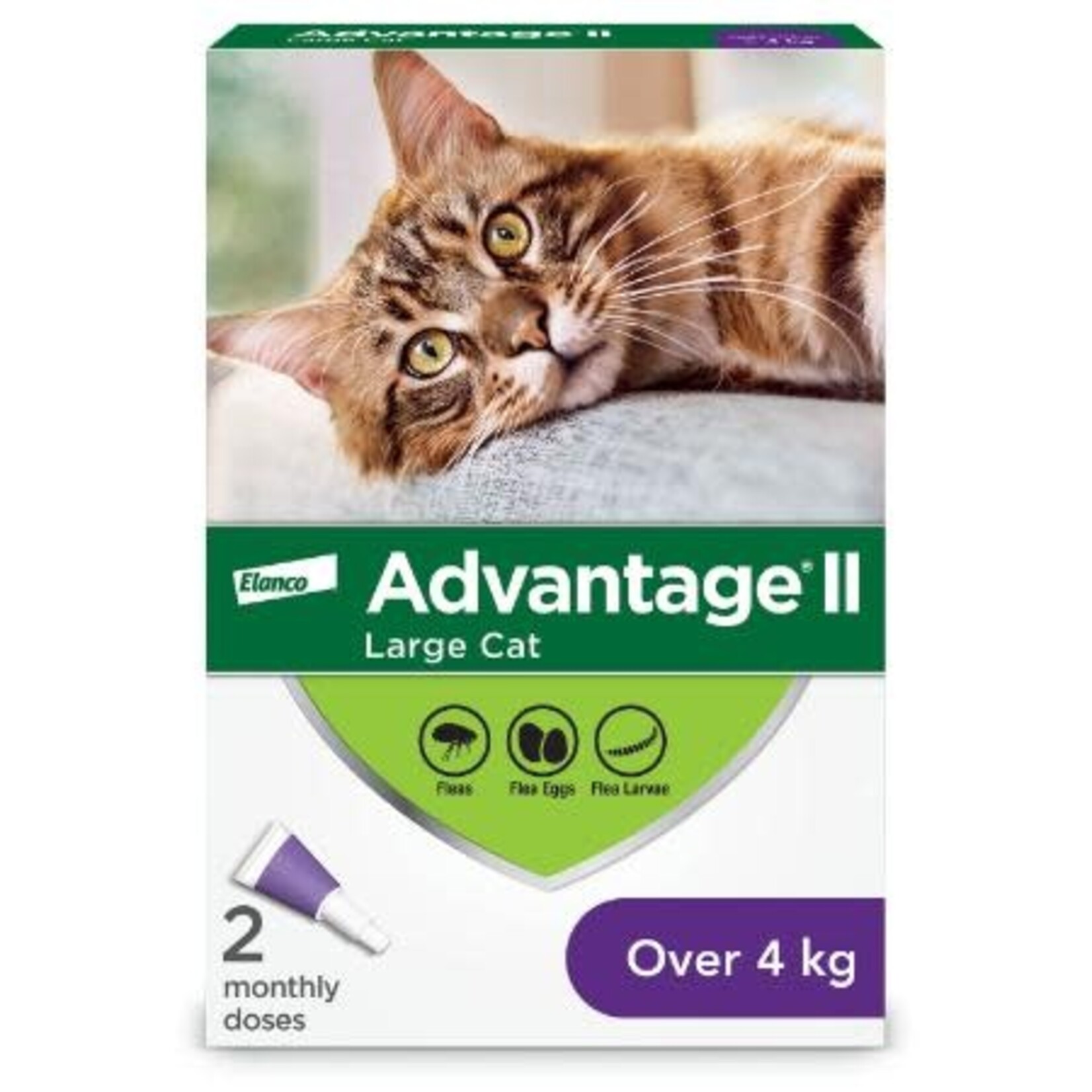 Elanco Advantage II - Cat