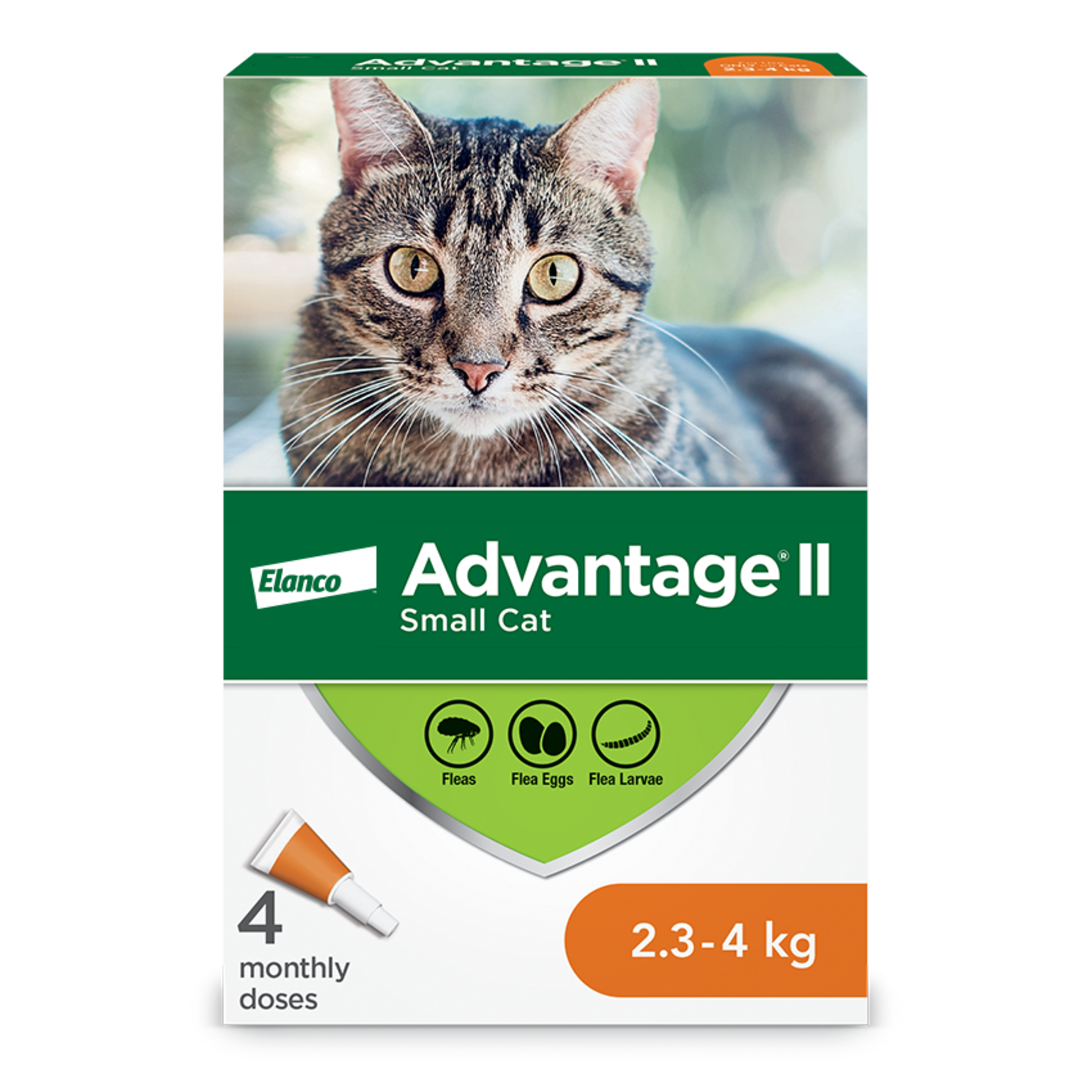 Elanco Advantage II - Cat