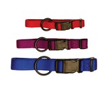 Hamilton Adjustable Nylon Dog Collar