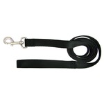 Hamilton 1" Wide Nylon Leash