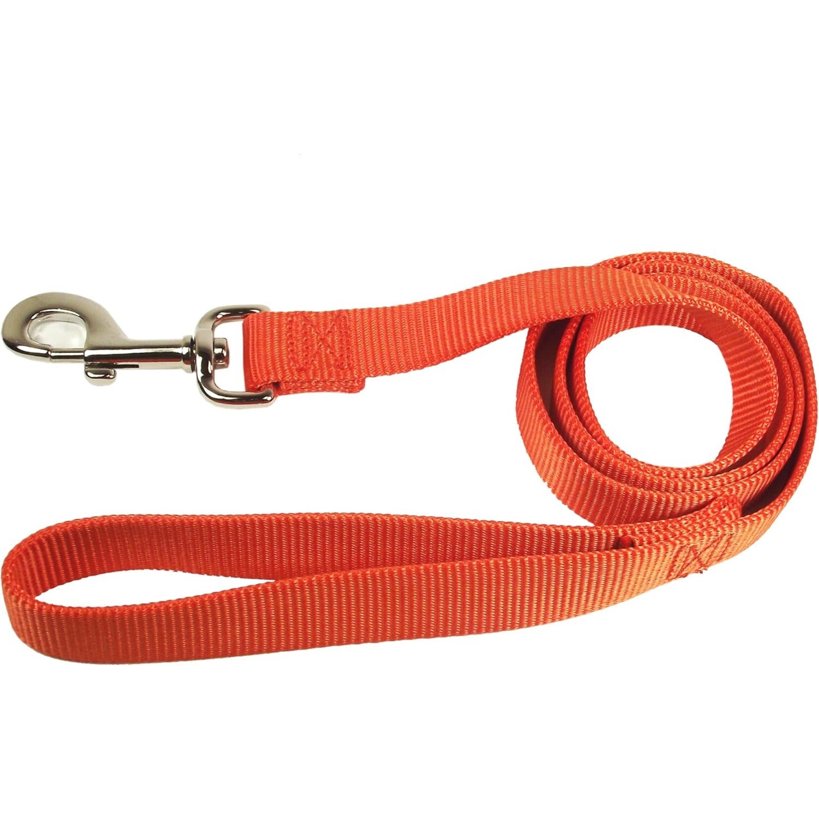 Hamilton 1" Wide Nylon Leash