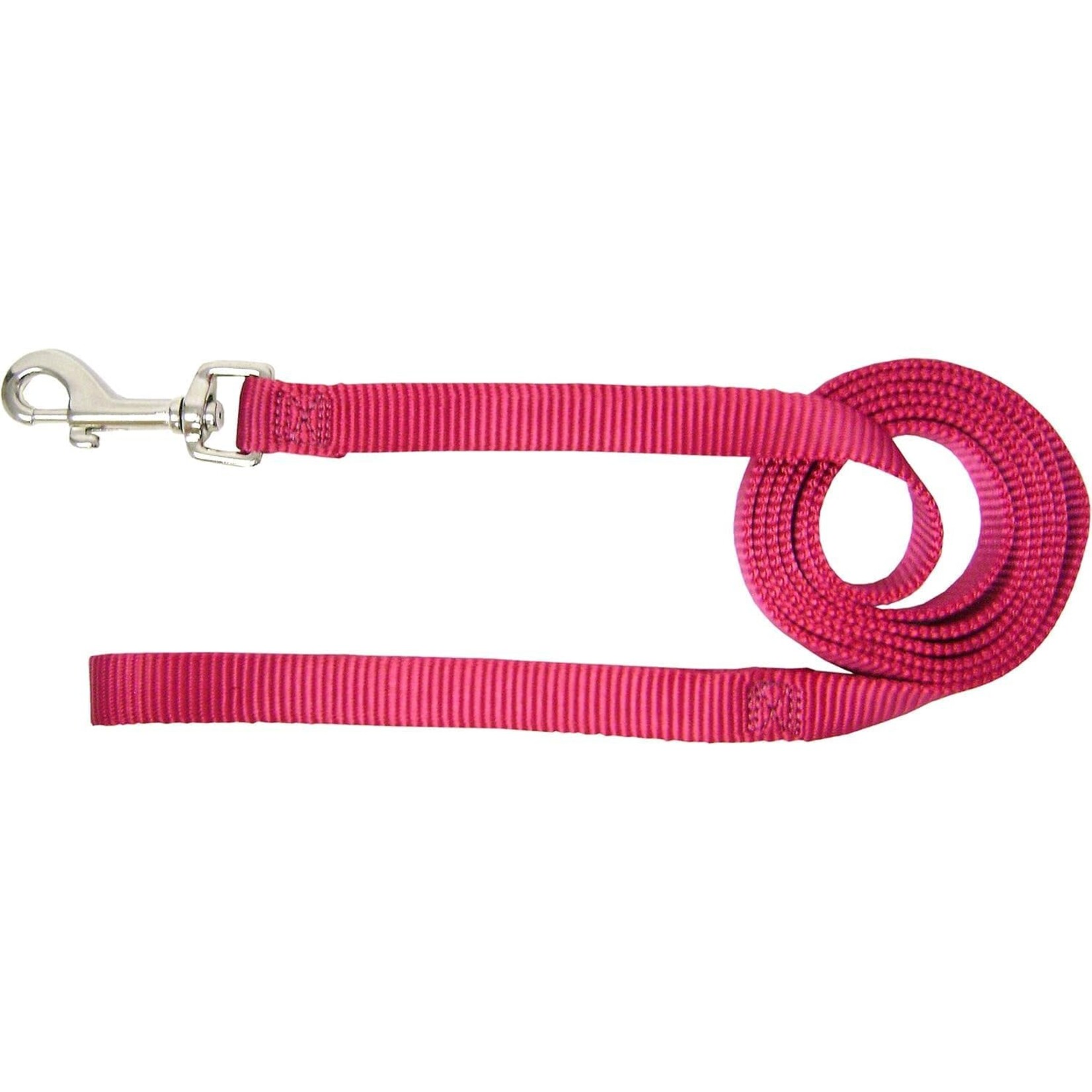 Hamilton 5/8" Wide Nylon Leash