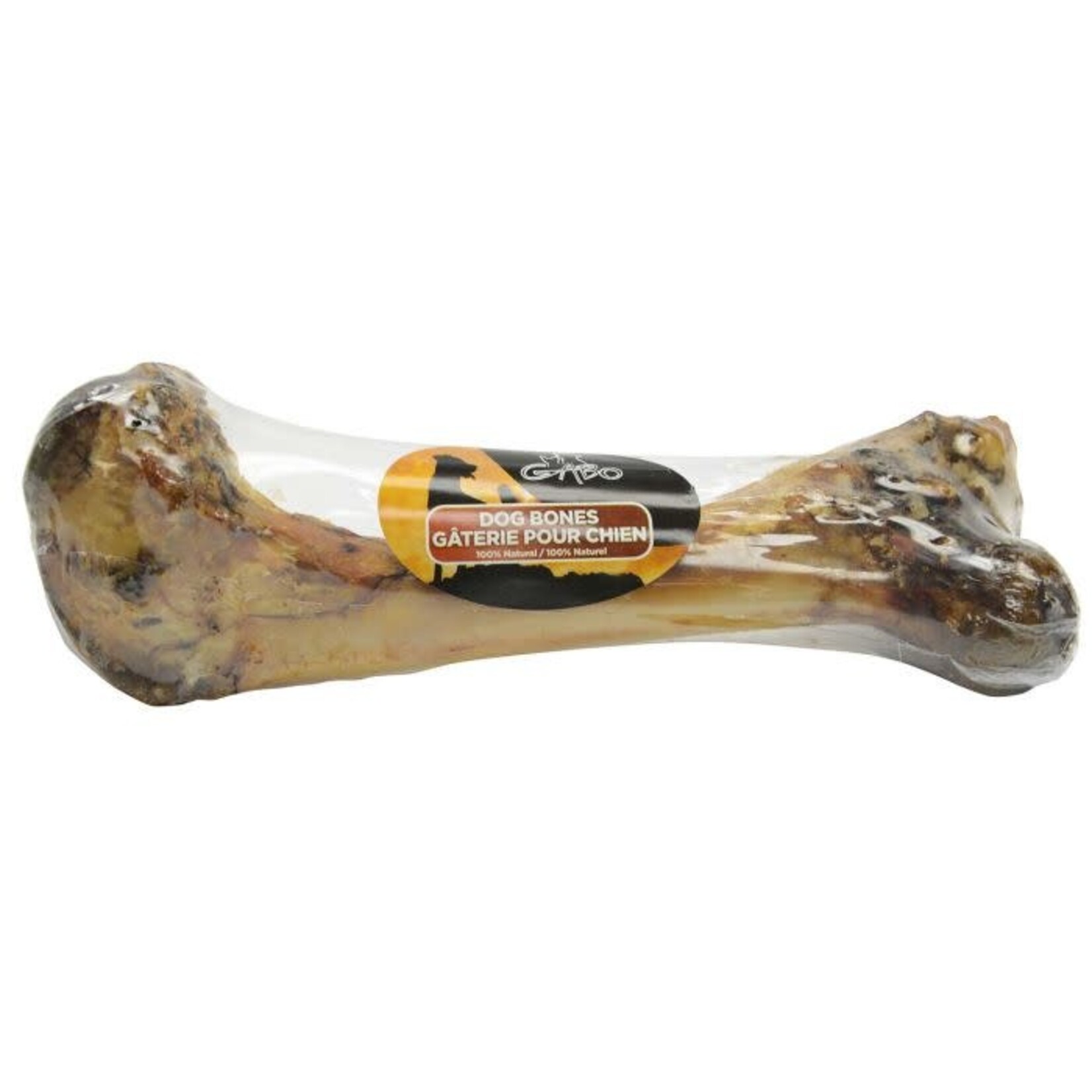 GABO Dino Bone