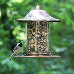 Perky Pet Panorama Bird Feeder