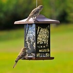 Perky Pet Wilderness Lantern Bird Feeder