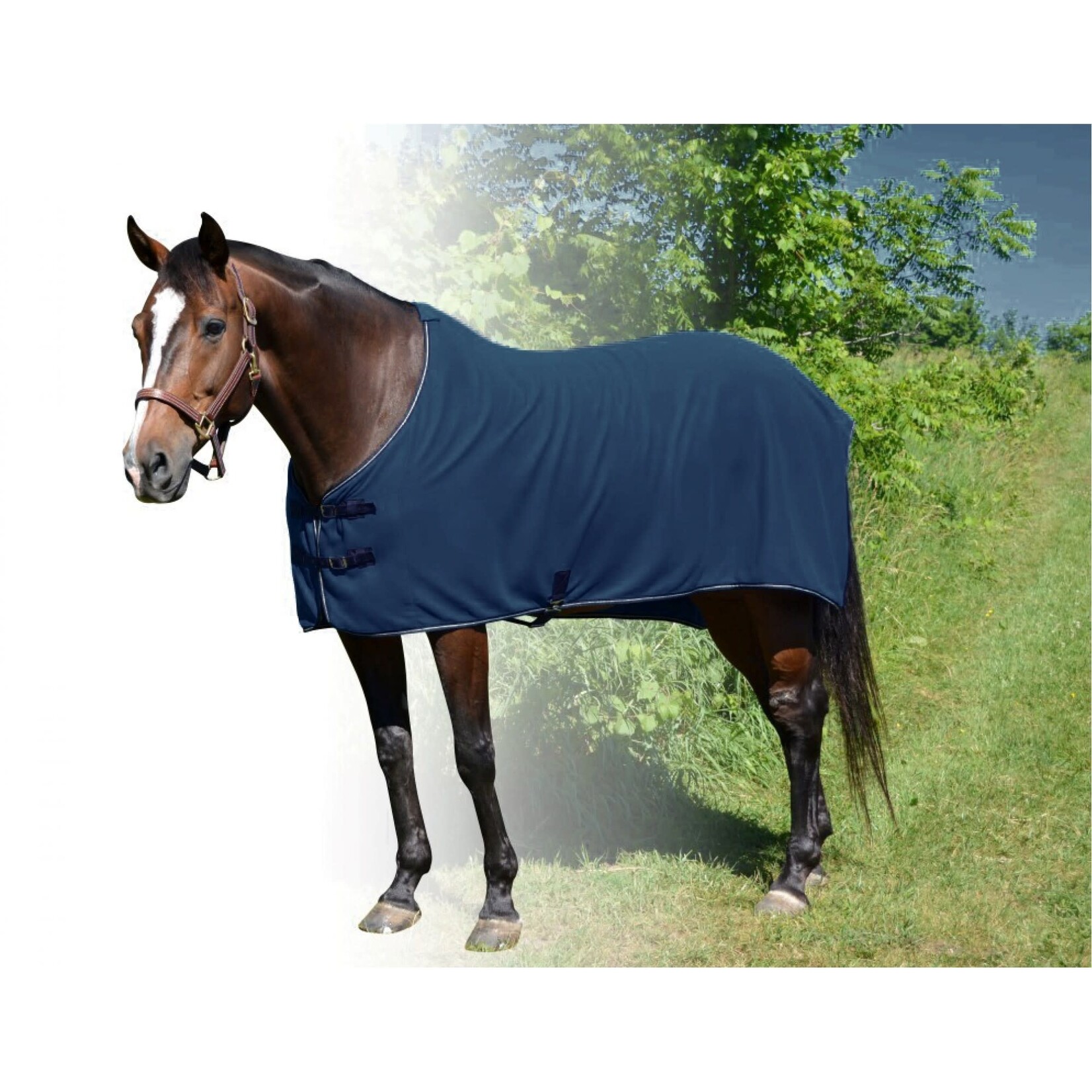 Century Performance Fleece Dress Cooler