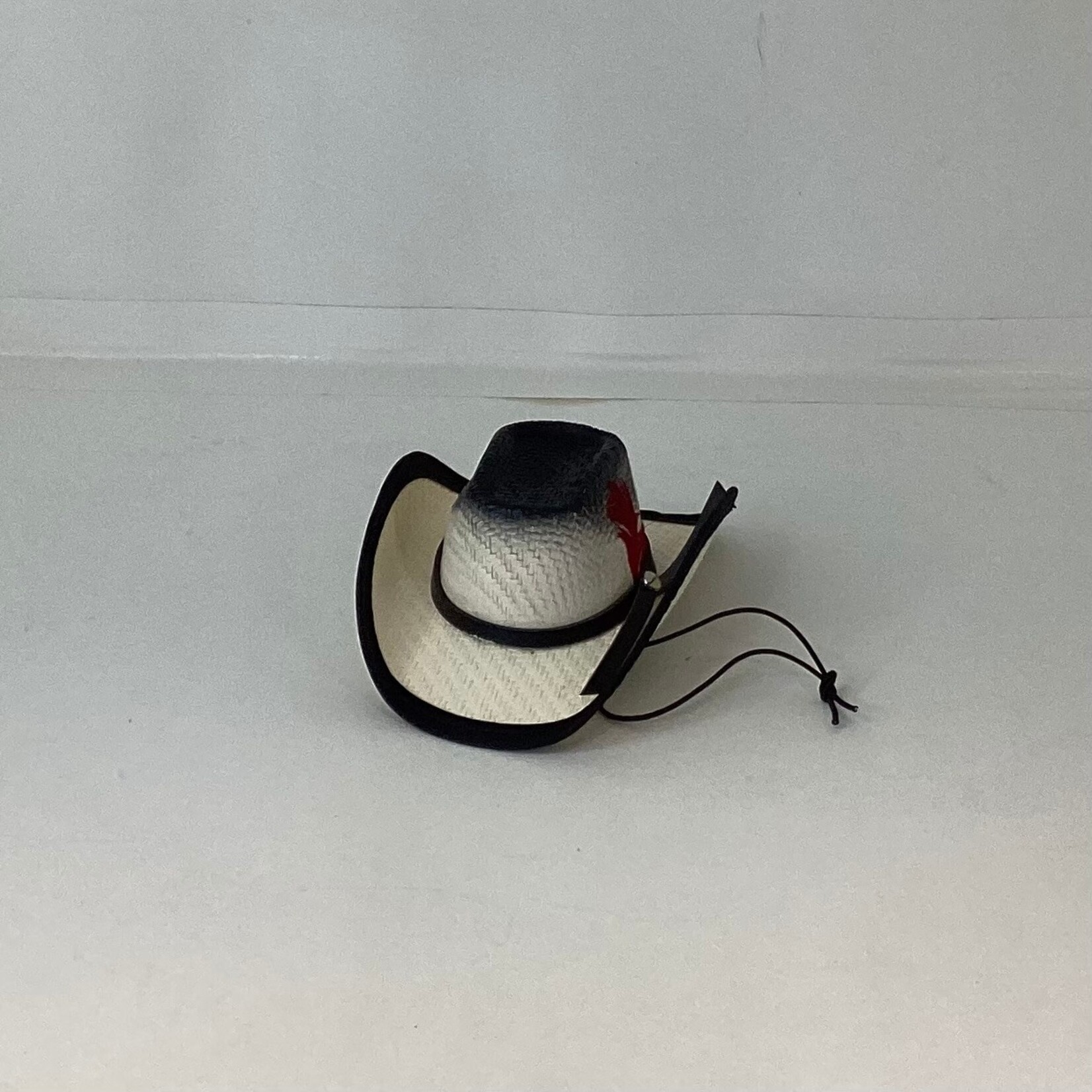 Modestone Pet Cowboy Hat With String