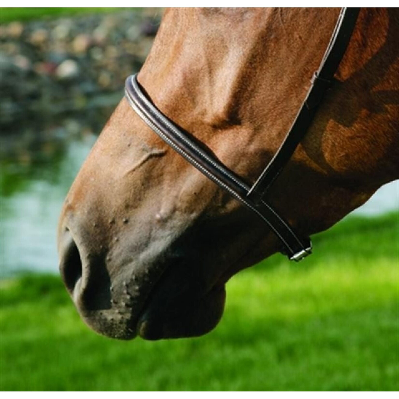 HDR Advantage Plain Leather Raised Noseband