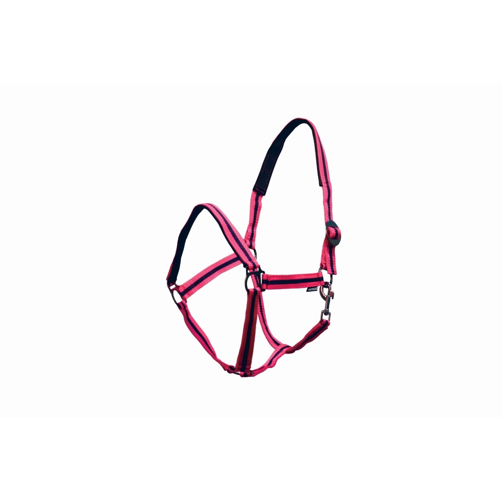 Cavalier Economy Nylon Halter