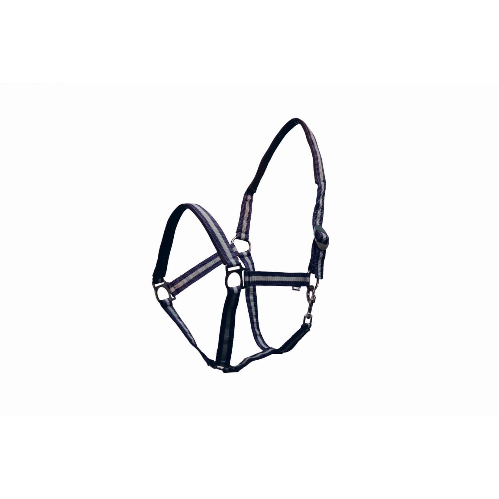Cavalier Economy Nylon Halter