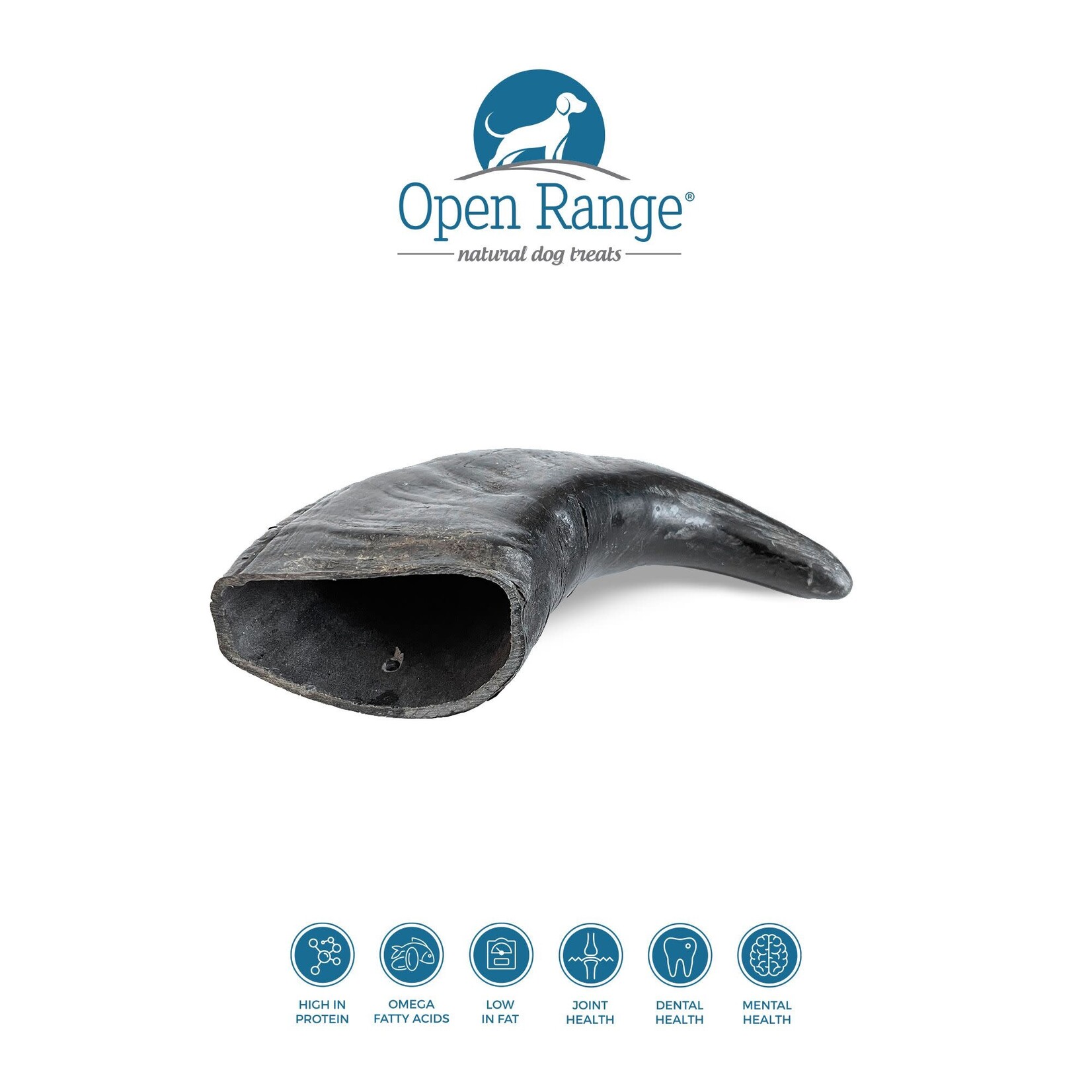 Open Range Water Buffalo Horn