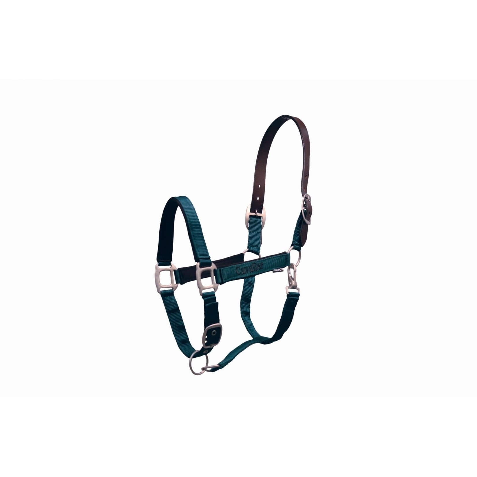 Cavalier Breakaway Halter