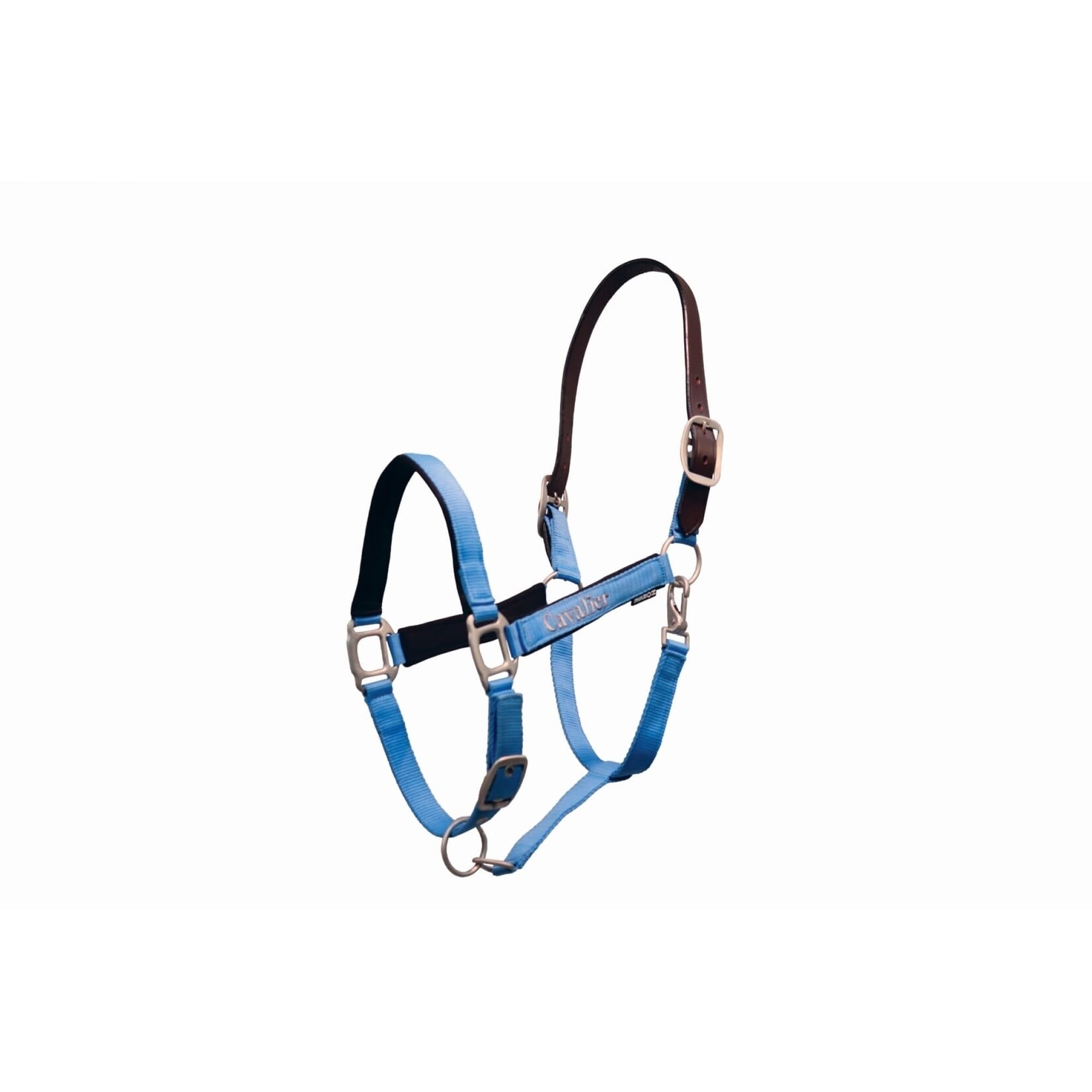 Cavalier Breakaway Halter