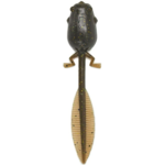 Nikko Tadpoles