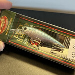Lucky Craft Bevy Shad 50SP
