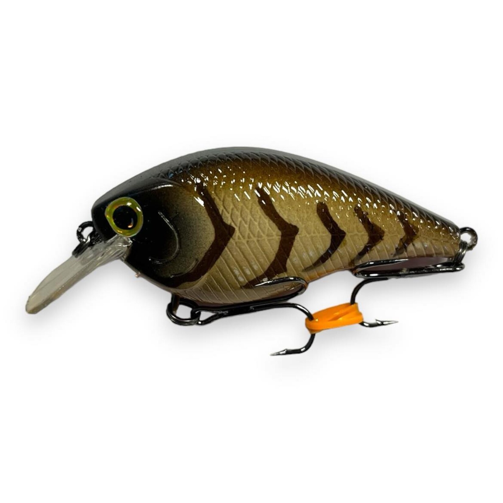 Tiger Crankbaits TC Fat Large Square 2.5