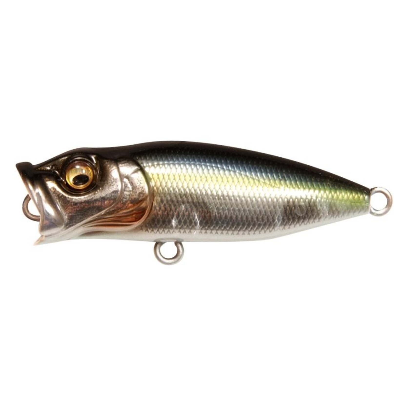 Megabass Baby PopX (BFS)