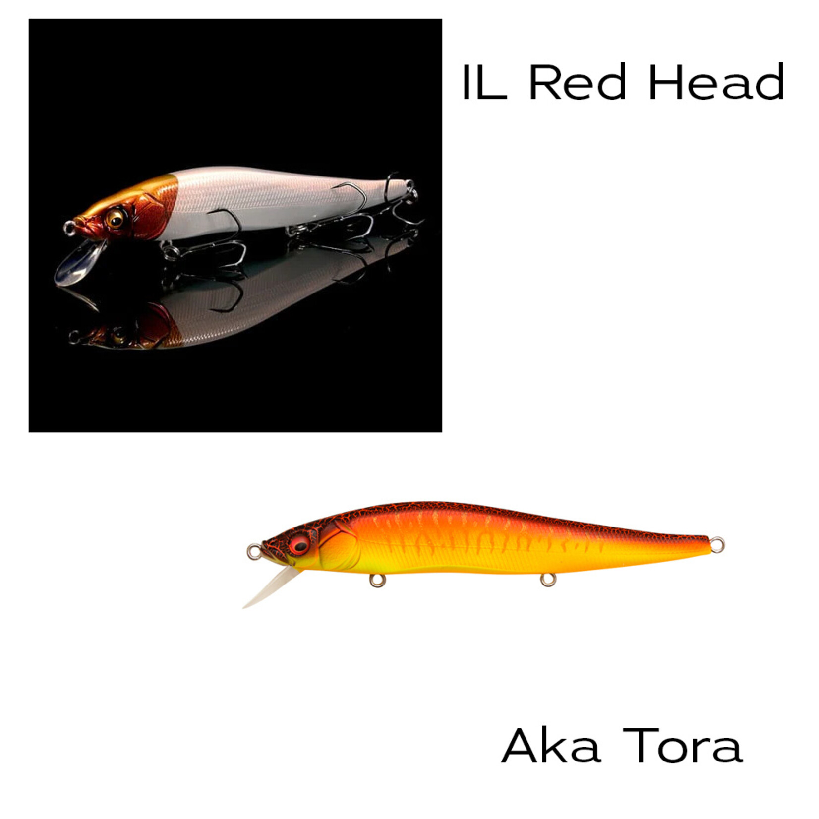 Megabass Vision Oneten