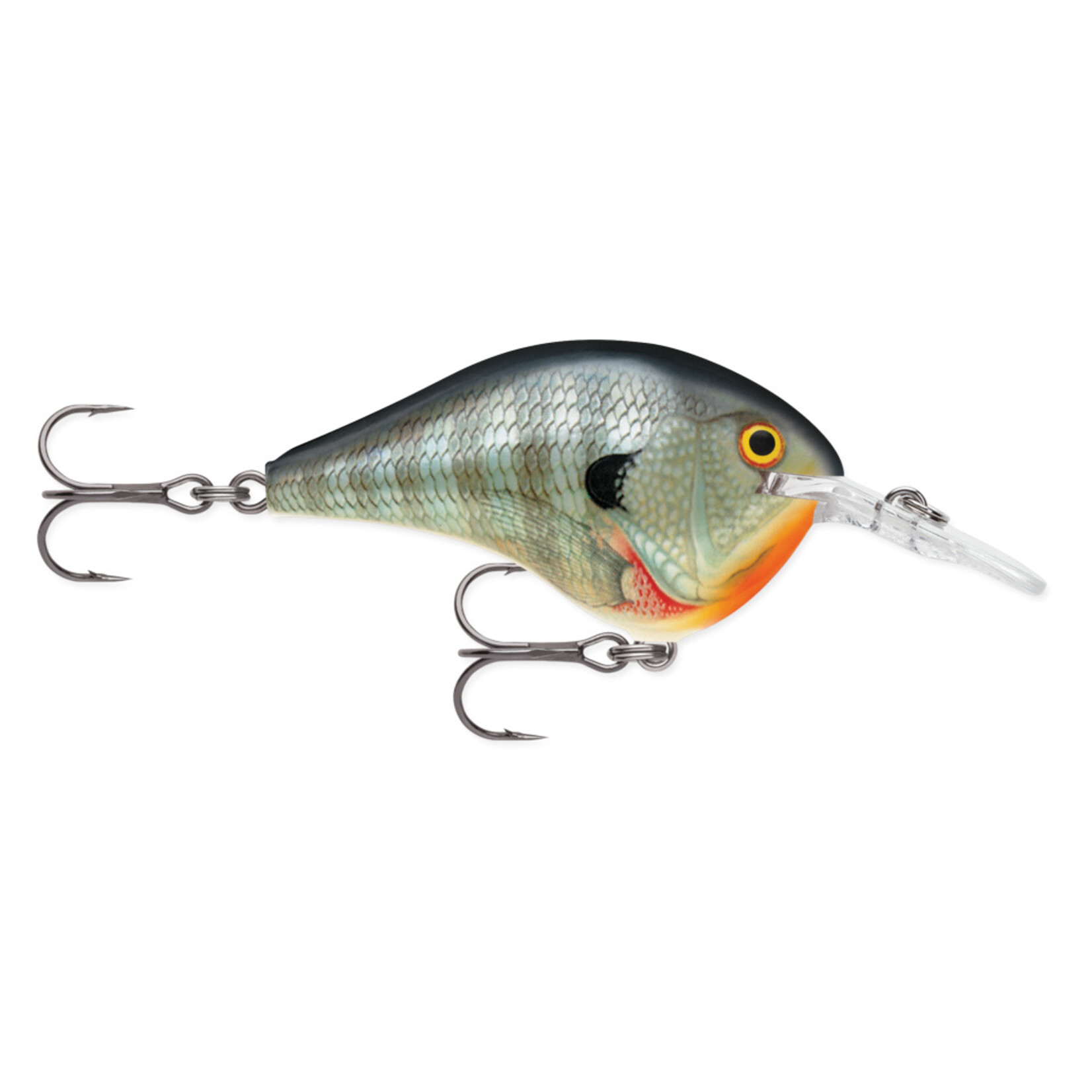 Rapala DT Series 06