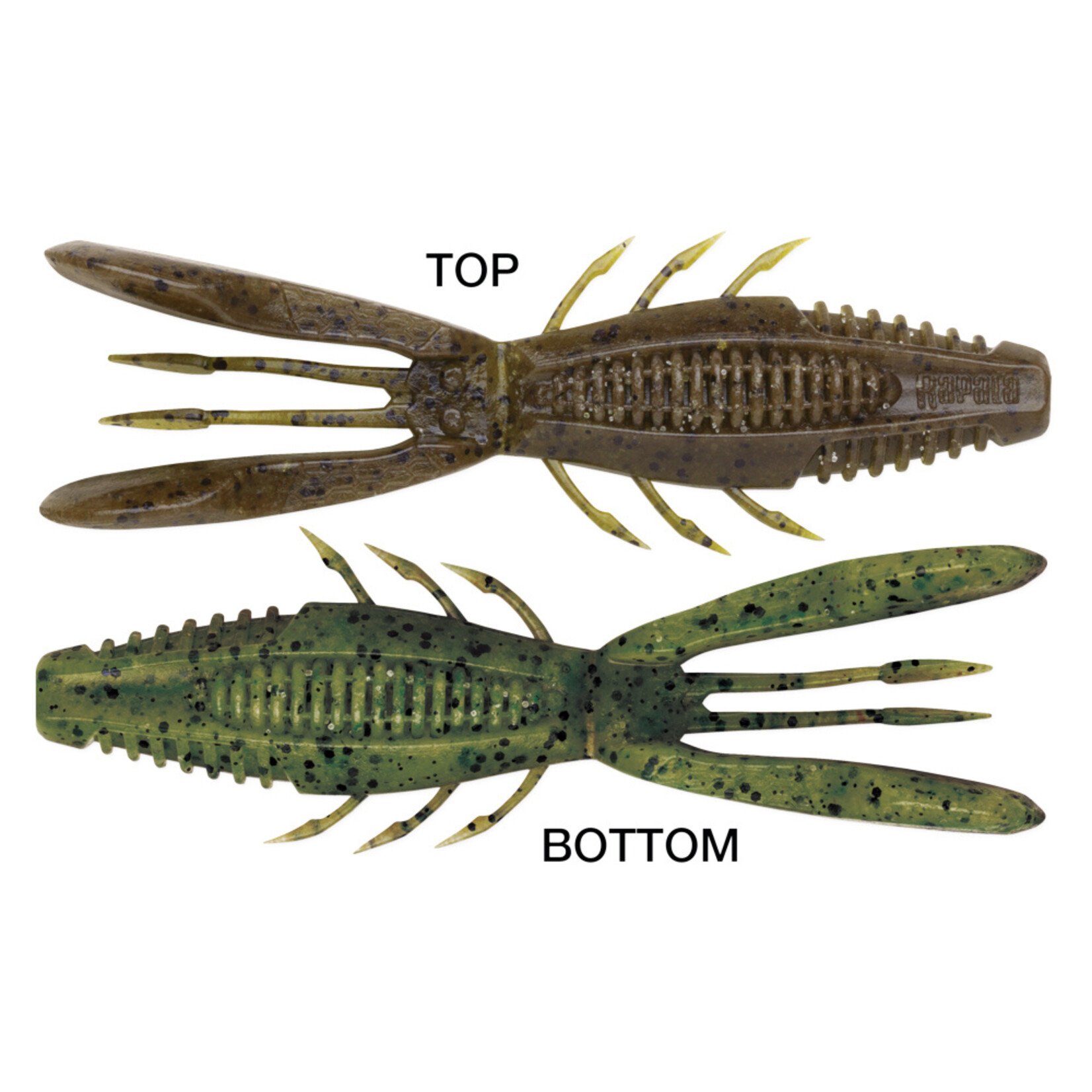 Rapala Crush City Bronco Bug