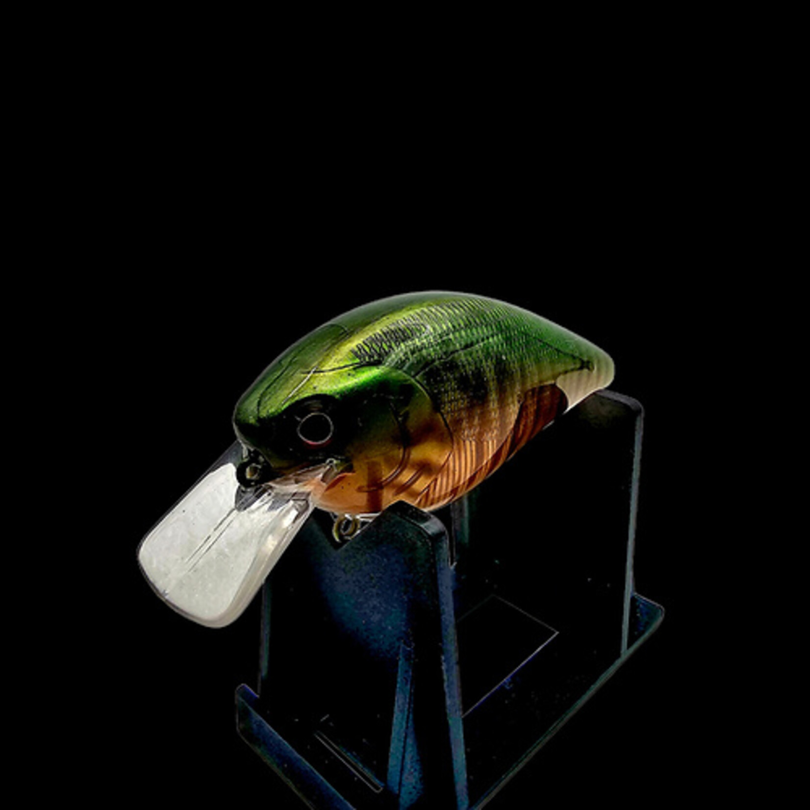 Bent Rod Fishing Squarebill