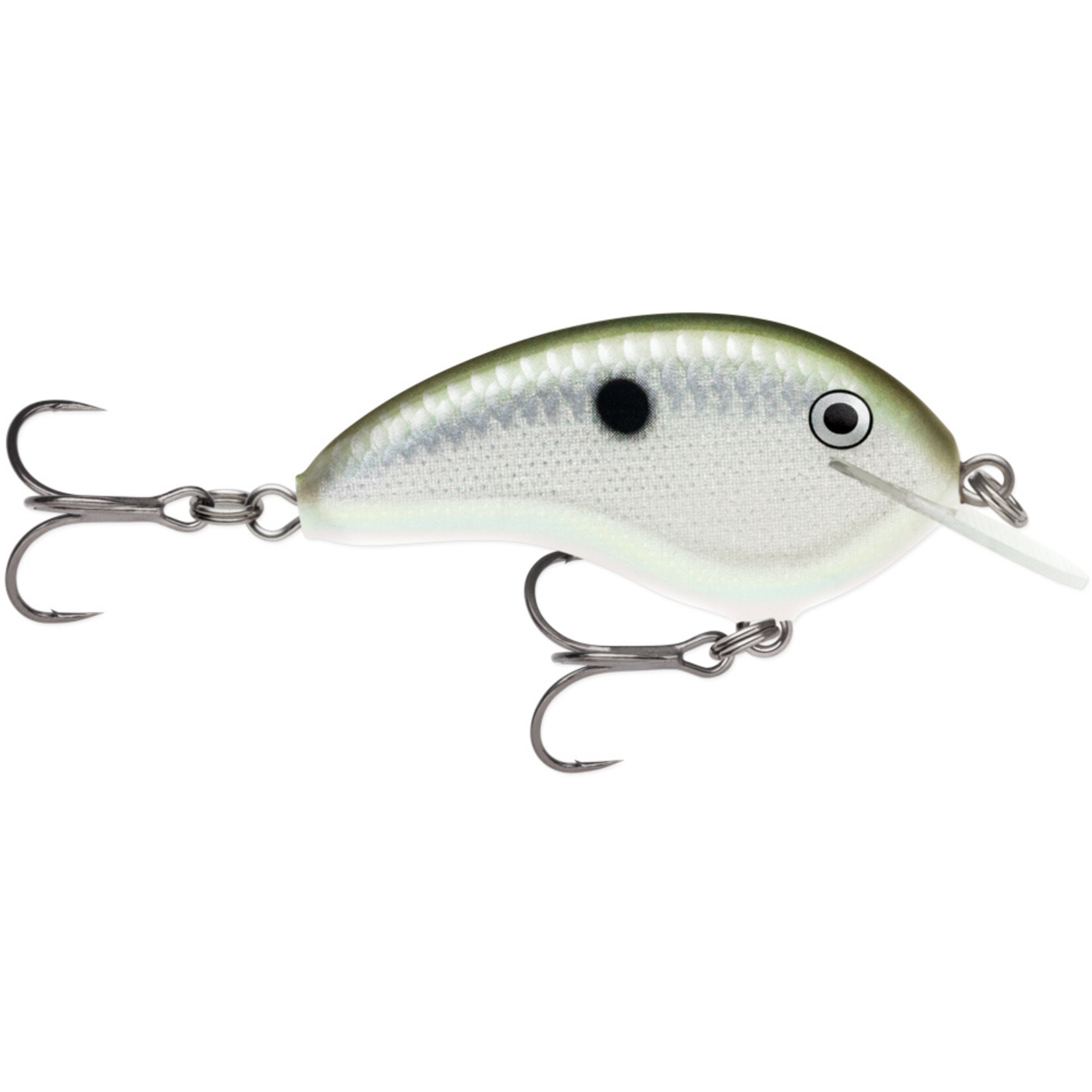 Rapala Ott's Garage Tiny 04