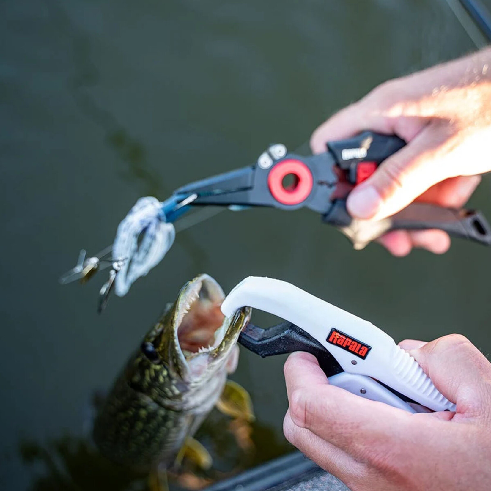 Rapala Floating Fish Gripper